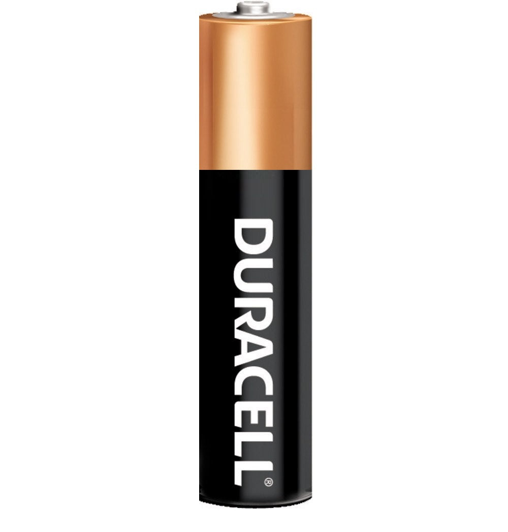 Pila Duracell AAAA Especial Tecnología