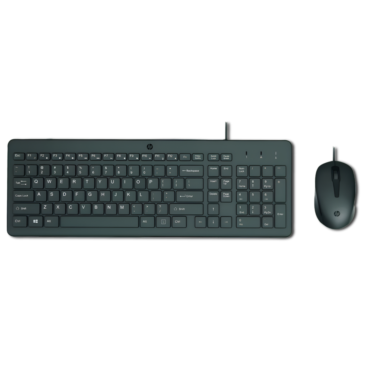 KIT Teclado y Mouse Alámbrico USB HP 150 Black Edition